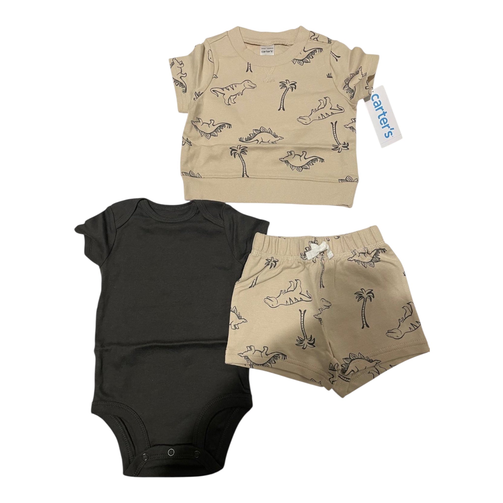 Carter's boys shirt onesie and short set
